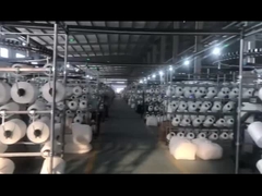 स्विमिंग सूट बिकनी